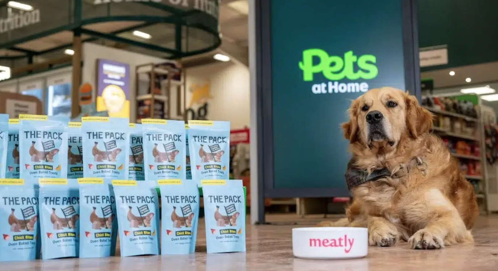 跨界 | 伊利推出“旗舰级”幼猫粮新品